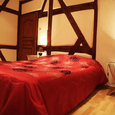 Apartment La Grenouille Turckheim