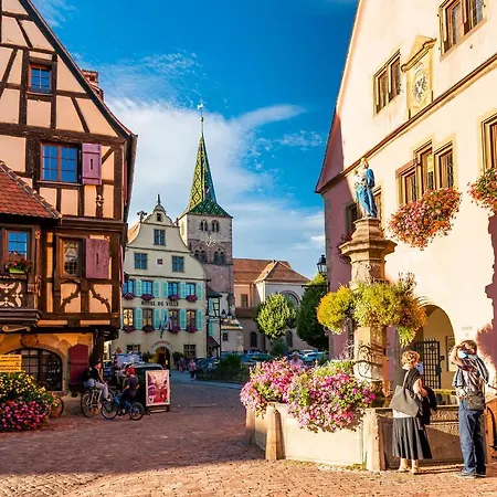 La Grenouille Turckheim