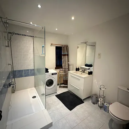 Апартаменты La Grenouille Тюркхайм