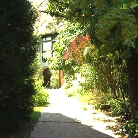 La Grenouille Тюркхайм