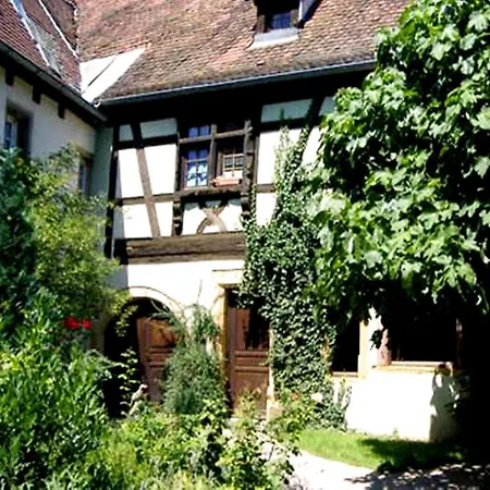 Apartment La Grenouille *