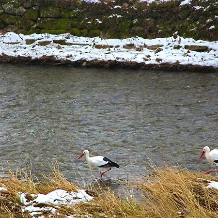 Апартаменты La Grenouille Тюркхайм